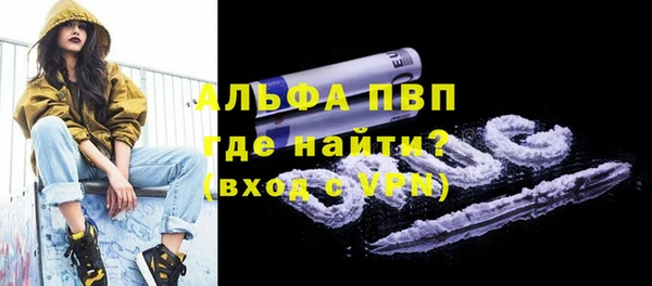 дмт Гусев