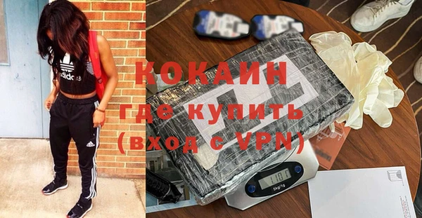 дмт Гусев