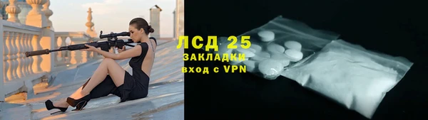 дмт Гусев