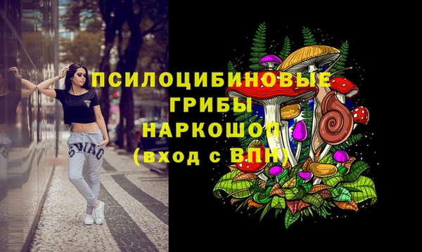 метадон Чердынь