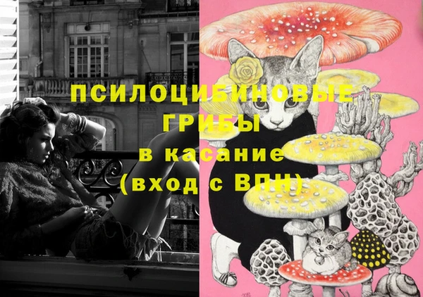 крисы Чегем