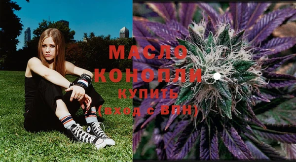 крисы Чегем