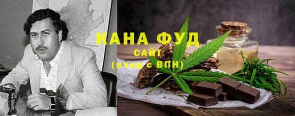 дмт Гусев