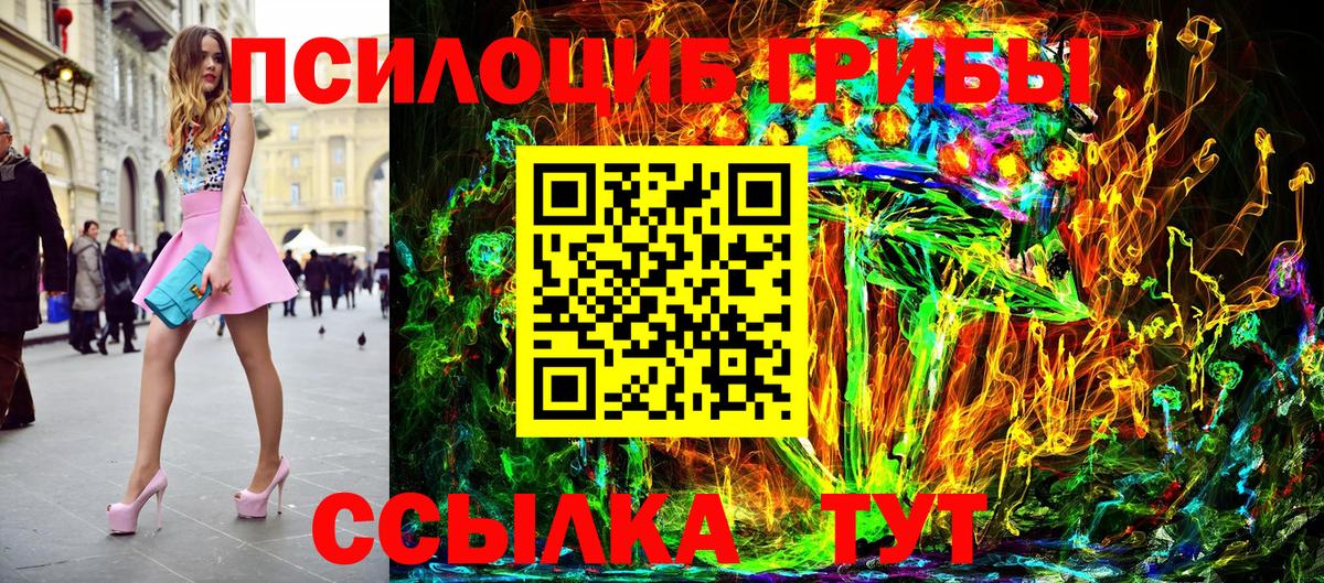 Галлюциногенные грибы Psilocybe  Вход с VPN  Шебекино 